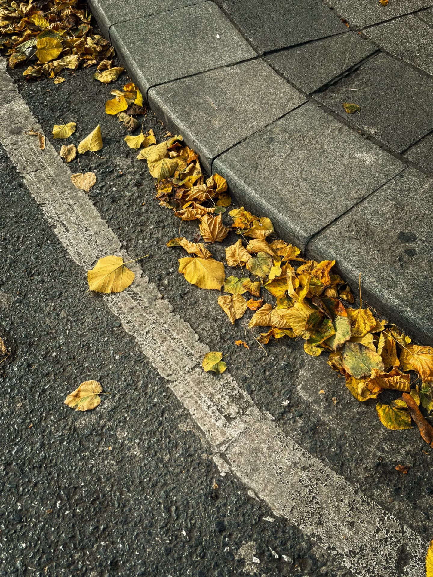 Barrier Curbs & Gutters - J&J General Solutions