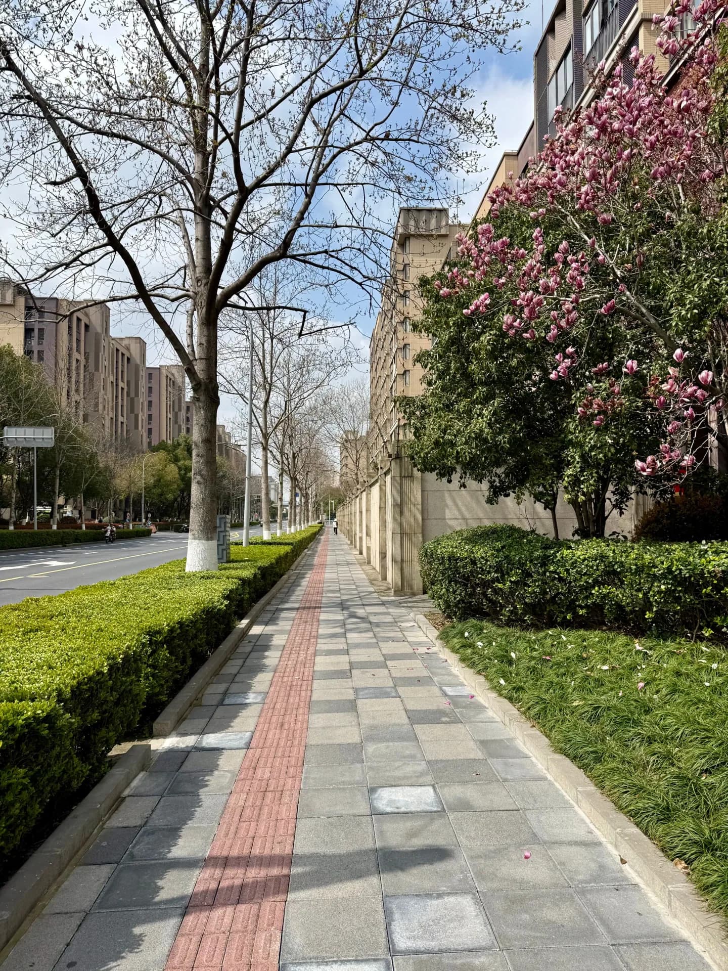 Retail & Center Walkways - J&J General Solutions