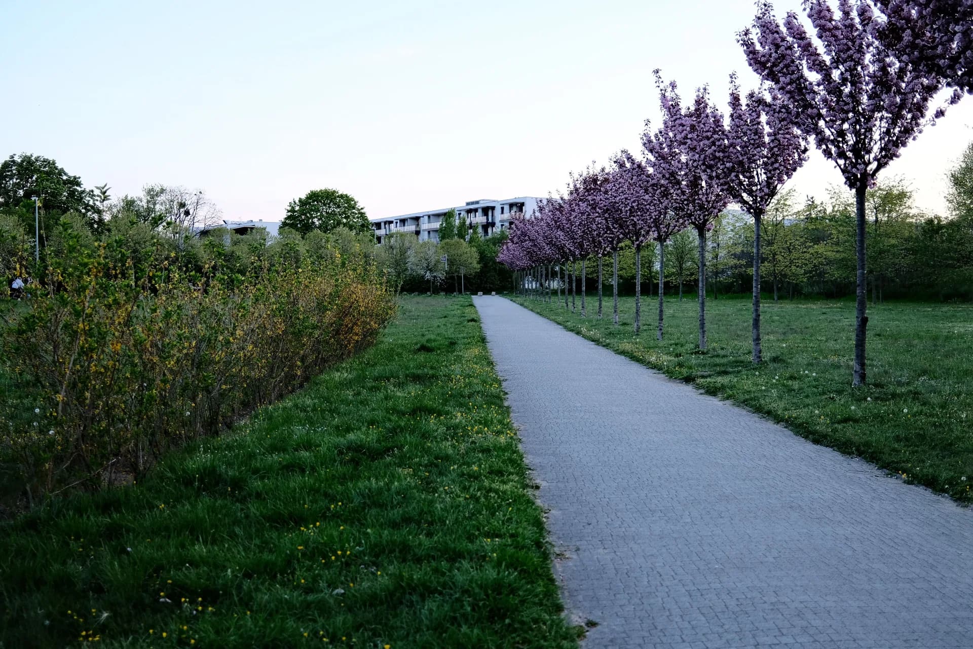 Commercial & HOA Sidewalks - J&J General Solutions